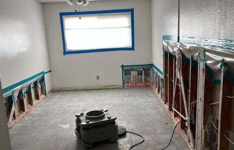 Mold Removal Project in Chula Vista