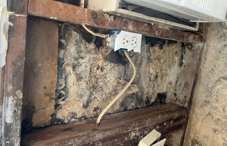 Mold Removal Project in Chula Vista