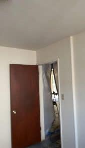 surface-mold-169x300