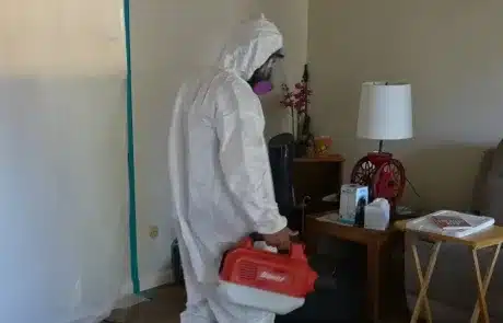 Mold-Remediation-La-Mesa-5