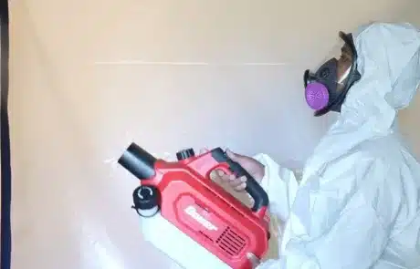 Mold-Remediation-La-Mesa-6