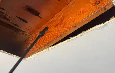 Ceiling-Water-Damage-Remediation-in-San-Diego-23