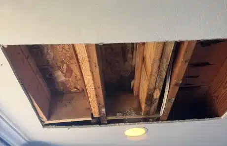 Ceiling-Water-Damage-Remediation-in-San-Diego-27