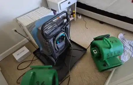 Drying-Project-San-Diego-CA-5