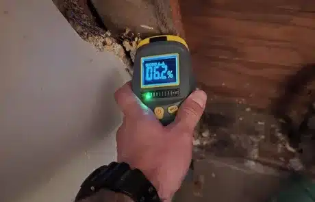 Identifying-Moisture-San-Diego-CA-1