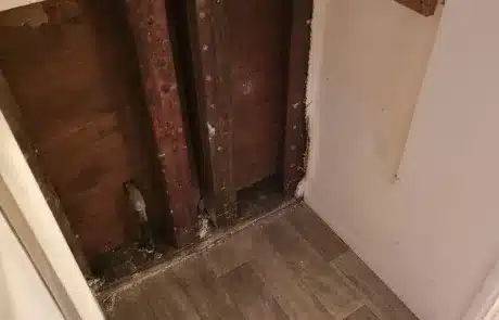 Identifying-Moisture-San-Diego-CA-2