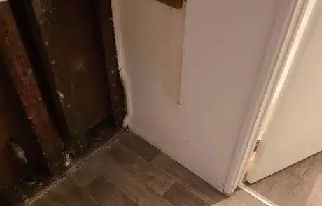 Identifying-Moisture-San-Diego-CA-5