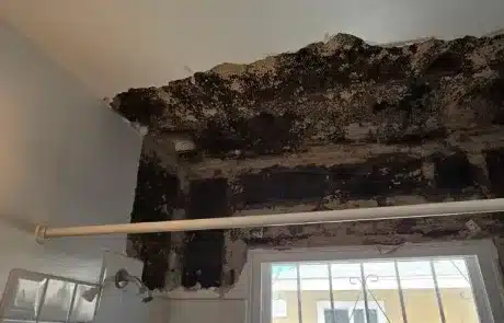 bathroom-mold-remediation-1