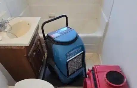 bathroom-mold-remediation-4