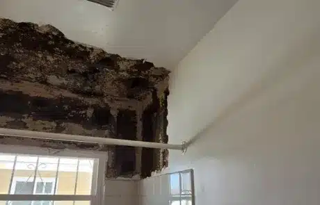 bathroom-mold-remediation-5