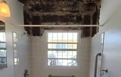 bathroom-mold-remediation-7