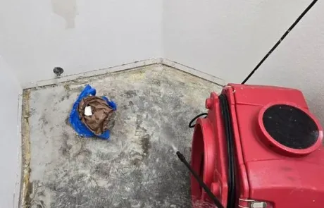 Bathroom-Floor-Water-Damage-Remediation-Oceanside-CA-3