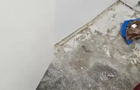 Bathroom-Floor-Water-Damage-Remediation-Oceanside-CA-7