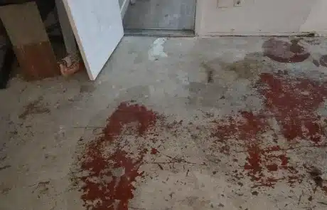 Home-Water-Mitigation-in-Stone-Valley-CA3