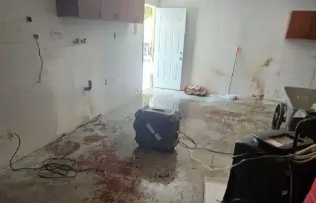 Home-Water-Mitigation-in-Stone-Valley-CA4