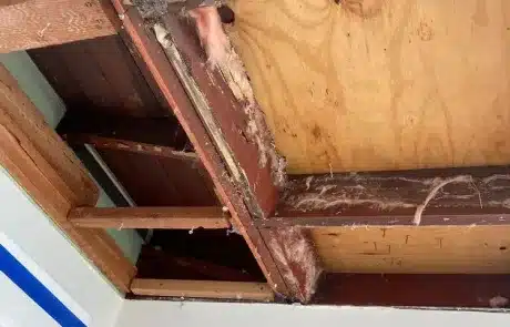 Living-Room-Ceiling-Mold-Remediation-in-La-Mesa-CA-Before-4