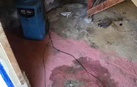 Basement-Mold-Remediation-1