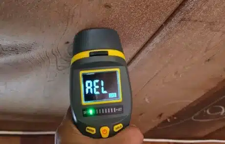 Basement-Mold-Remediation-3-1