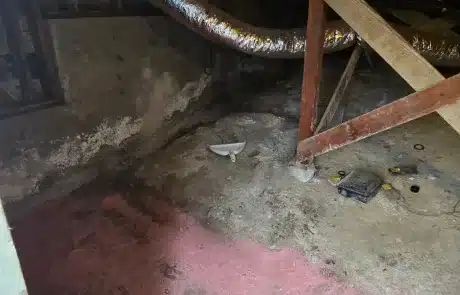 Basement-Mold-Remediation-6-1