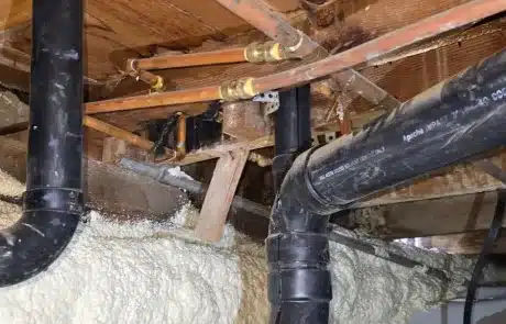 Crawl-Space-Mold-Remediation-3