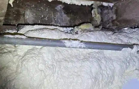 Crawl-Space-Mold-Remediation-4