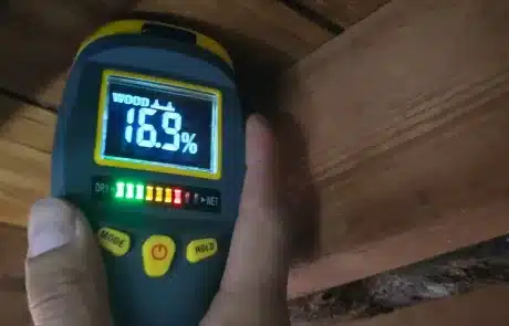 Crawl-Space-Mold-Remediation-6