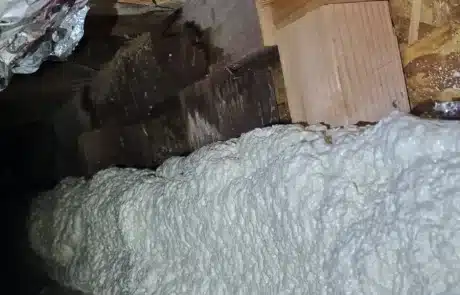 Crawl-Space-Mold-Remediation-7