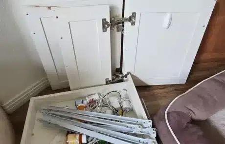 Kitchen-Cabinet-Mold-Remediation-1