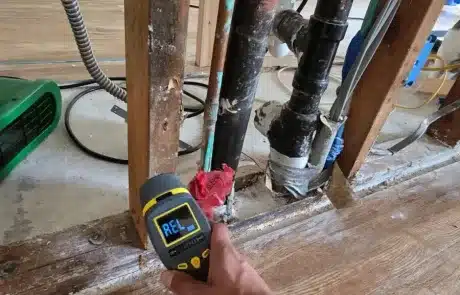 Kitchen-Cabinet-Mold-Remediation-2