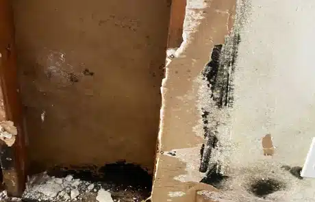 Kitchen-Cabinet-Mold-Remediation-5-1