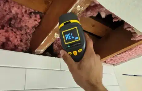 Shower-Ceiling-Mold-Remediation-4