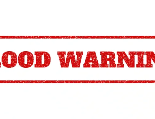 Flood Restoration Cleanup in Chula Vista