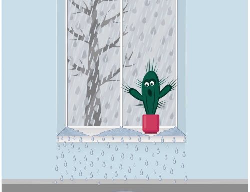 Leaking Windows and Water Damage