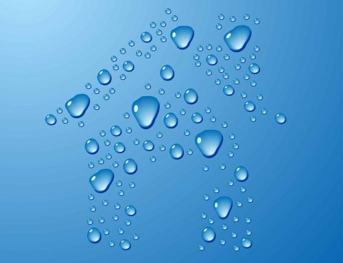 Expert Tips for Repairing Water Damage in Poway