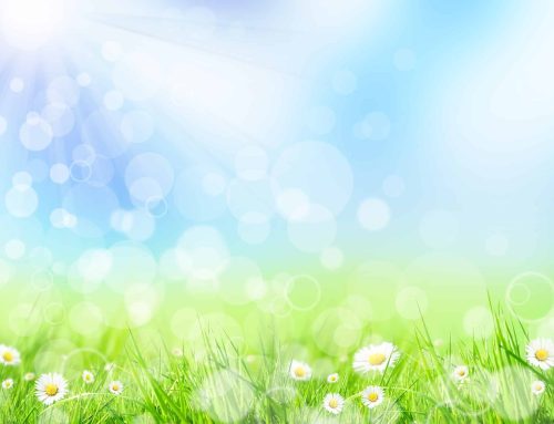 Spring Water Damage Solutions