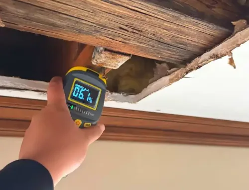 Why You Should Hire Professionals for Burst Pipe Water Cleanup