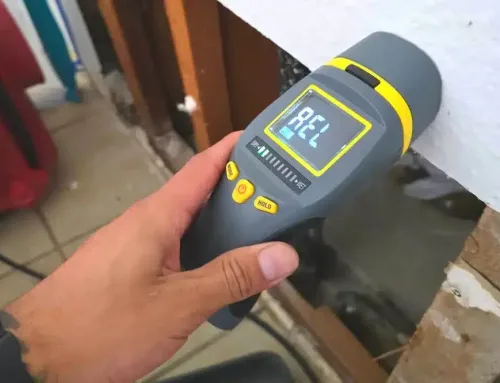 Early Signs of Water Damage in Your Home: What to Look For