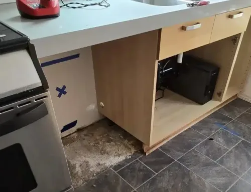 5 Unexpected Places Mold Loves to Hide in Your Home