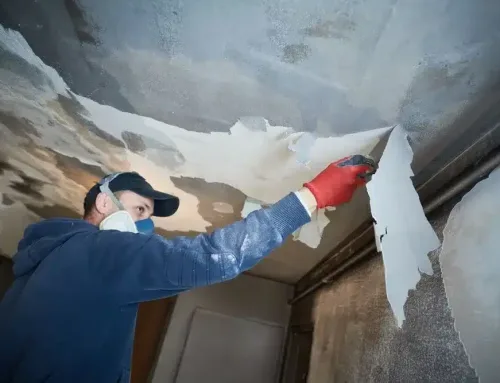 Fire, Smoke, and Soot: What to Expect During Fire Damage Restoration