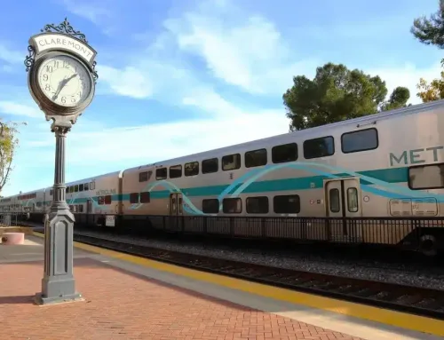 Mold Remediation Services in Rancho Bernardo, CA