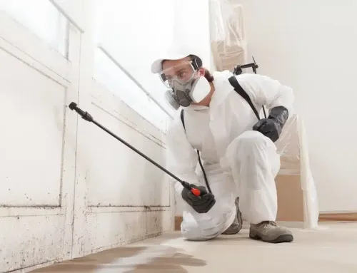 White Glove Restoration’s Guide to Keeping Your Home Safe from Water, Fire, and Mold